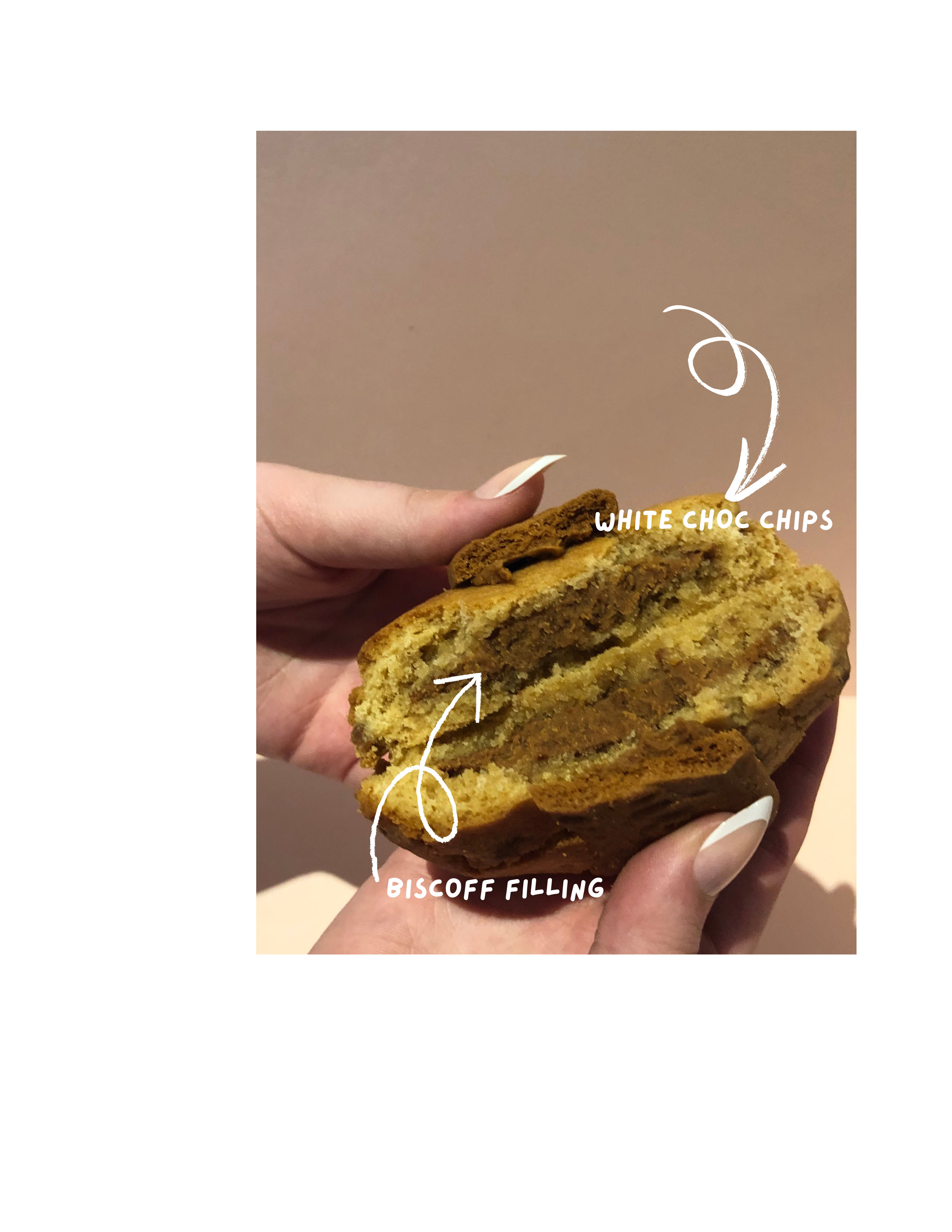 Biscoff cookies - box of 4